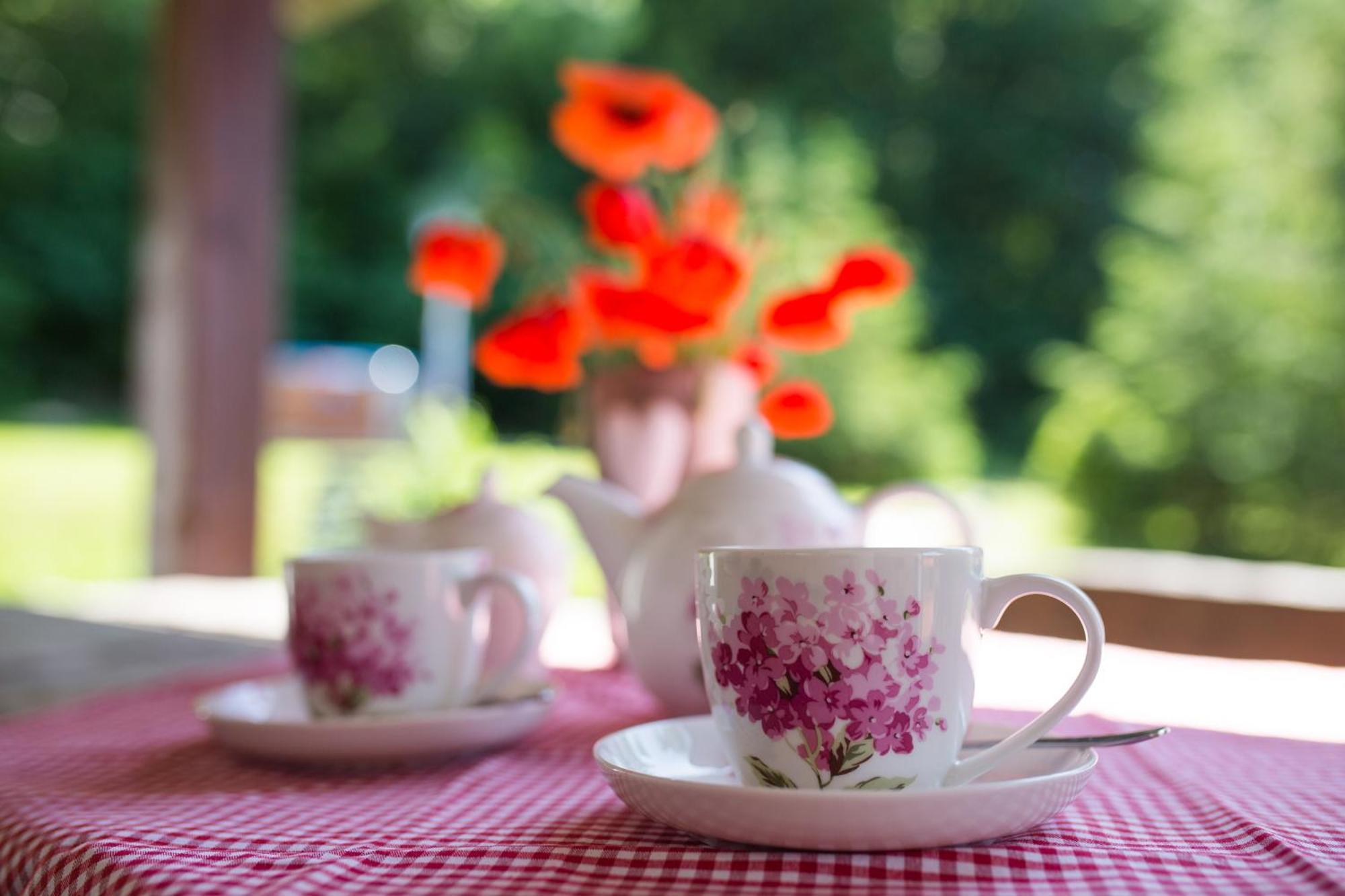 Gosciniec Malinowka Bed & Breakfast Krzeszna Bagian luar foto